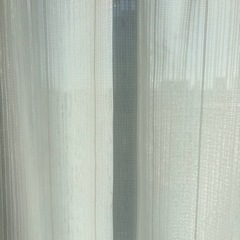 レースのカーテンの画像