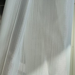 レースのカーテンの画像