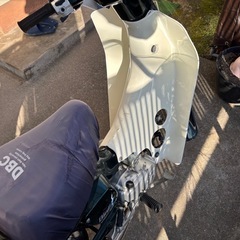 スズキバーディー　50ccの画像