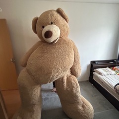 クマのぬいぐるみ（COSTCO）の画像