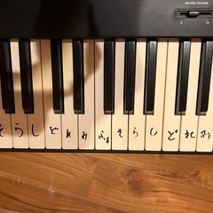 KORG SP-100の画像