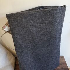 Panasonic　ホットカーペット　DC-3NK　カバー付属　近場配達　可の画像