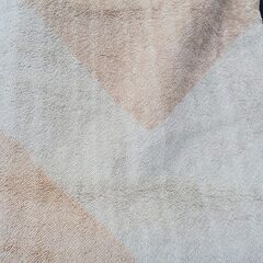 Panasonic　ホットカーペット　DC-3NK　カバー付属　近場配達　可の画像