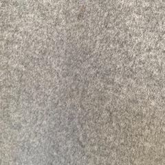 レディース　コート　ジーナシスの画像