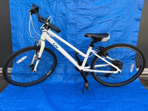 GIANT 自転車 Liv ALIGHT 24インチ 変速あり スポーツタイプ 