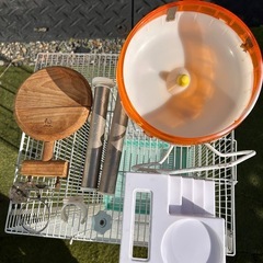 鳥、モモンガその他　かご付属品全てお譲りしますの画像