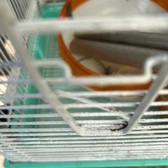 鳥、モモンガその他　かご付属品全てお譲りしますの画像