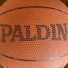 スポルディング バスケットボールの画像