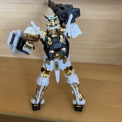 ガンダムアストレイ　ゴールドフレーム　スペシャルコーティング
の画像