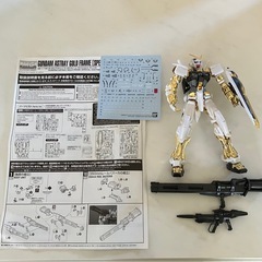 ガンダムアストレイ　ゴールドフレーム　スペシャルコーティング
の画像