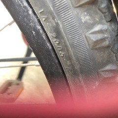 自転車　　　男子の画像