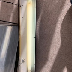 ガラス水槽の画像