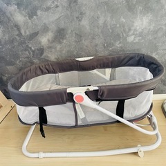 多機能バウンサー
の画像