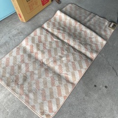 ホット　電気カーペットの画像