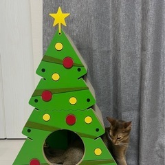 猫の爪とぎ　クリスマスツリー型の画像