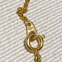 ネックレス　二重リングデザインの画像