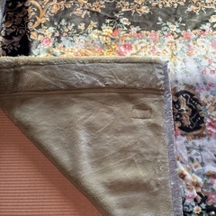 大阪西川の厚みのある毛布140×200 緑系の画像