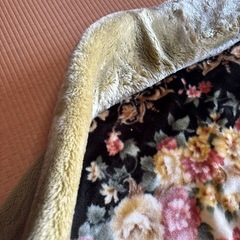 大阪西川の厚みのある毛布140×200 緑系の画像