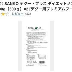 テグーの餌と砂の画像