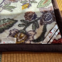 大阪西川の毛布の画像