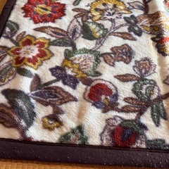 大阪西川の毛布の画像