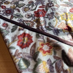 大阪西川の毛布の画像