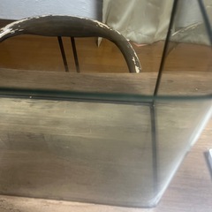 ガラス水槽　40cmの画像