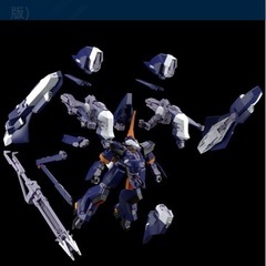 プレバン限定　　アクアハンブラビⅡの画像