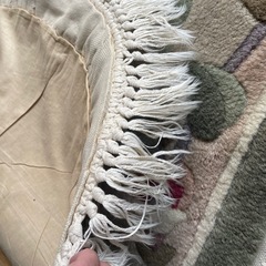 絨毯？【弥永団地】の画像