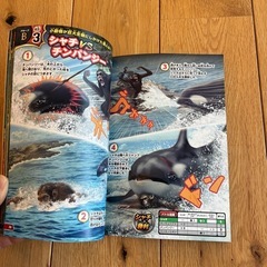 最強王図鑑&頂上決戦など9冊の画像