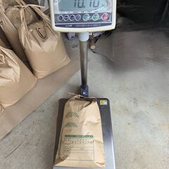 令和7年産ヒノヒカリ 玄米10kg　冷蔵保管④の画像