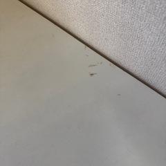 ホワイト　テーブル　ローテーブルの画像