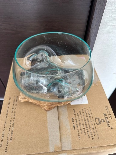 小さな　水槽