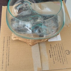 小さな　水槽
の画像