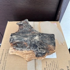 小さな　水槽
の画像