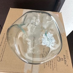 小さな　水槽
の画像