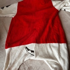 パウパト　サンタコスの画像