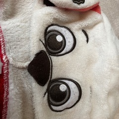 パウパト　サンタコスの画像