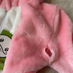 うさぎコスの画像