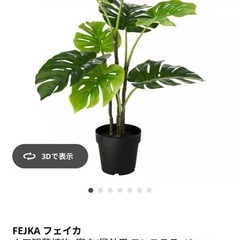 IKEA フェイクグリーン(モンテスラ)の画像