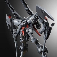 プレバン限定　HGバイアランカスタム２号機の画像