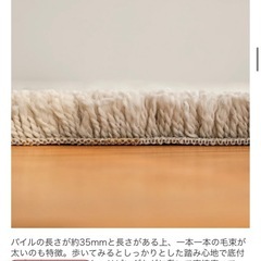 ラグラグマット ベルギー産 ウィルトン織り 20 0x250 コンティボヘム エルク 絨毯 の画像