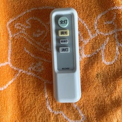 シーリングライト１【弥永団地】の画像