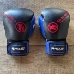 キックミット&ボクシンググローブの画像