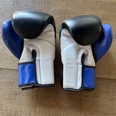 キックミット&ボクシンググローブの画像