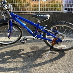 決定しました自転車 子供用 20インチ ルイガノの画像