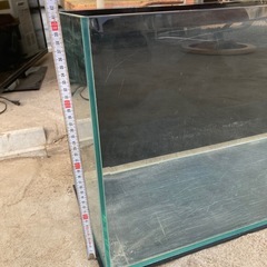 大きい 90cm ガラス水槽の画像