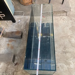 大きい 90cm ガラス水槽の画像