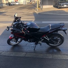 HONDA  ホンダ CBR250r 250cc MC41の画像