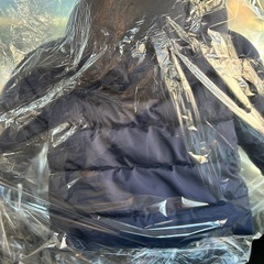 GAP 12〜18ヶ月　クリーニング済み　ダウンの画像